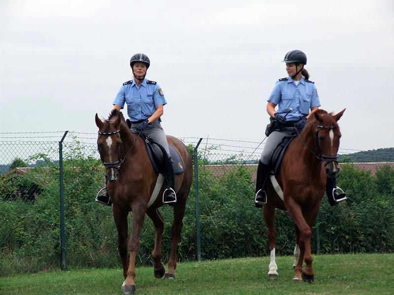 PMC-Sommerfest-2010_023.jpg