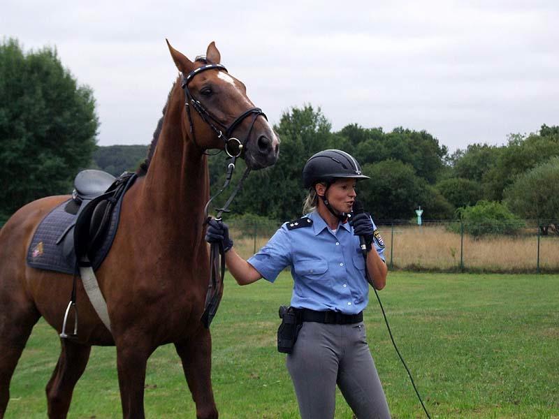PMC-Sommerfest-2010_030.jpg
