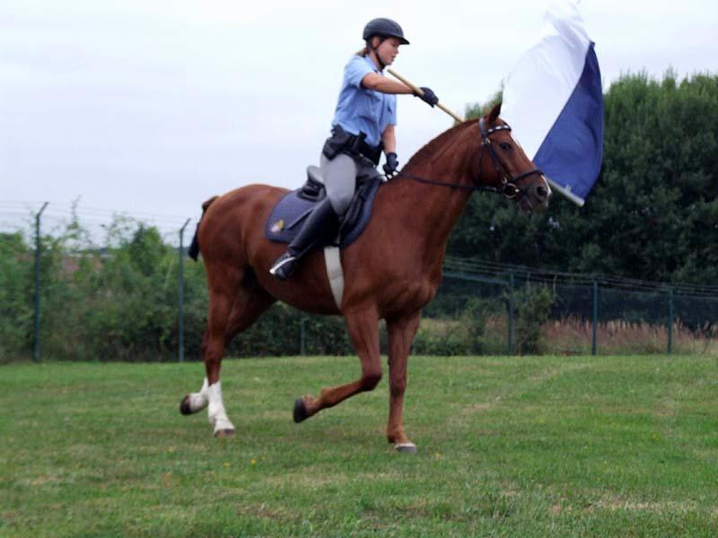 PMC-Sommerfest-2010_039.jpg
