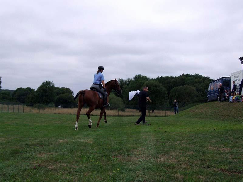 PMC-Sommerfest-2010_044.jpg