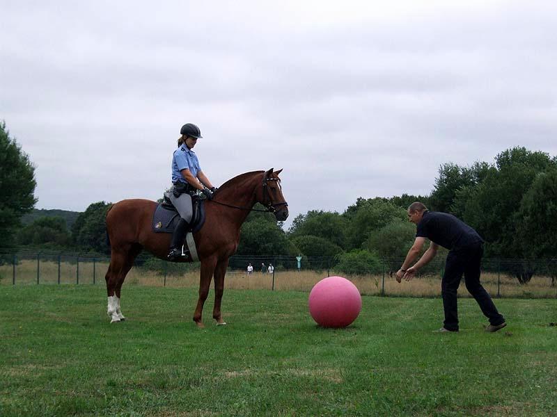 PMC-Sommerfest-2010_046.jpg