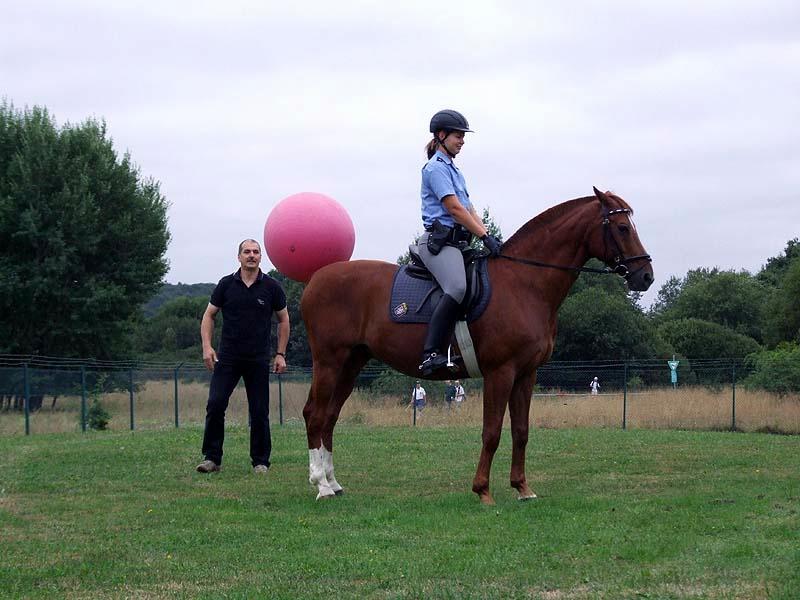 PMC-Sommerfest-2010_047.jpg