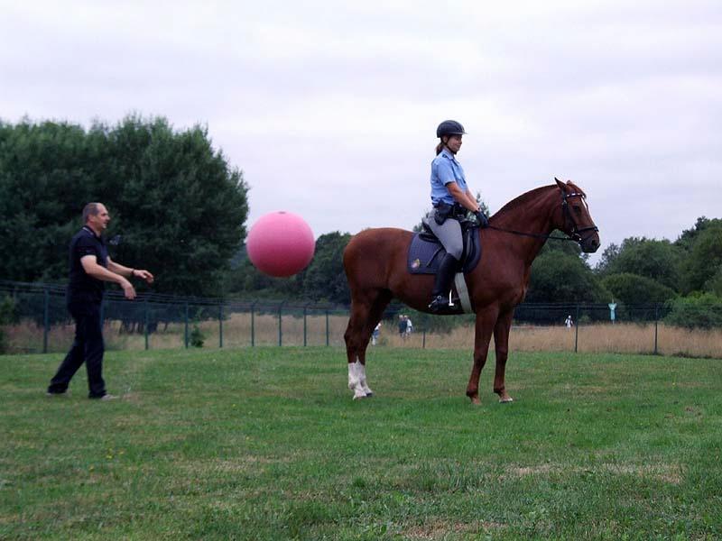 PMC-Sommerfest-2010_048.jpg