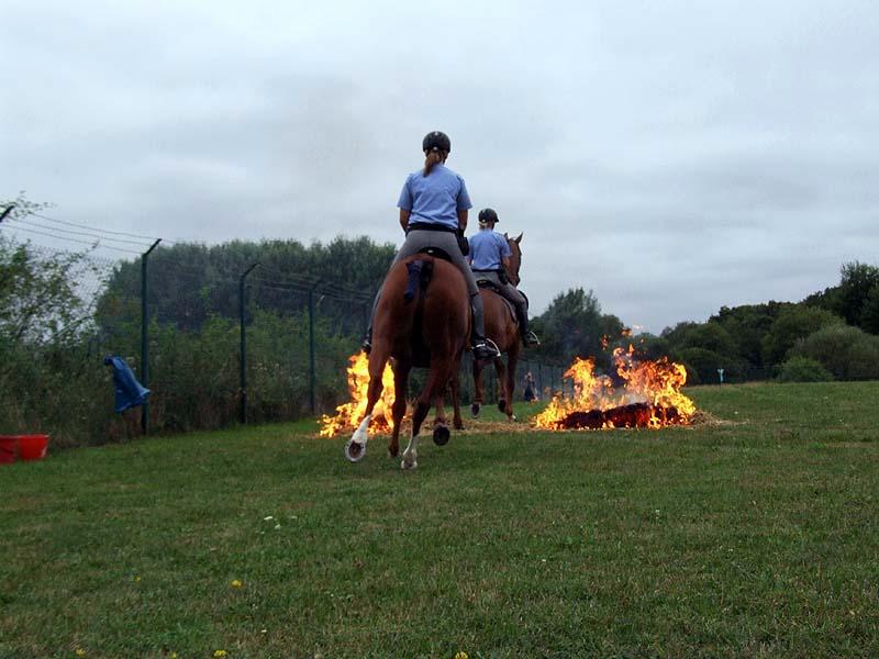 PMC-Sommerfest-2010_070.jpg