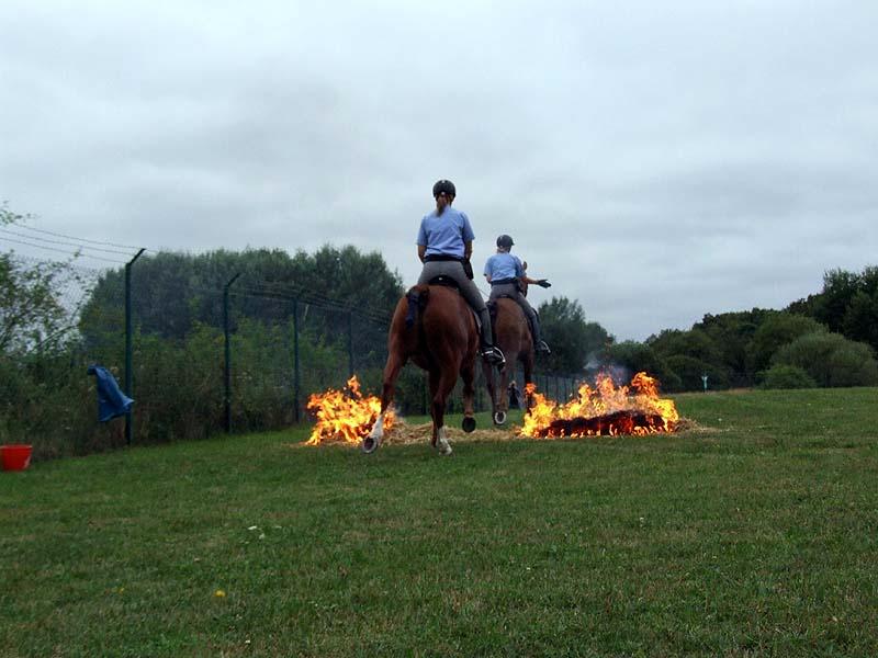 PMC-Sommerfest-2010_071.jpg