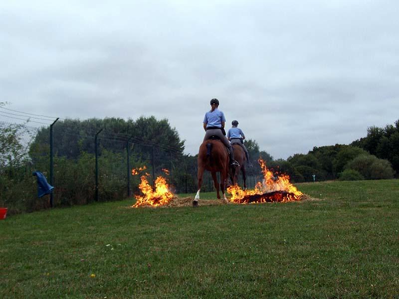 PMC-Sommerfest-2010_072.jpg