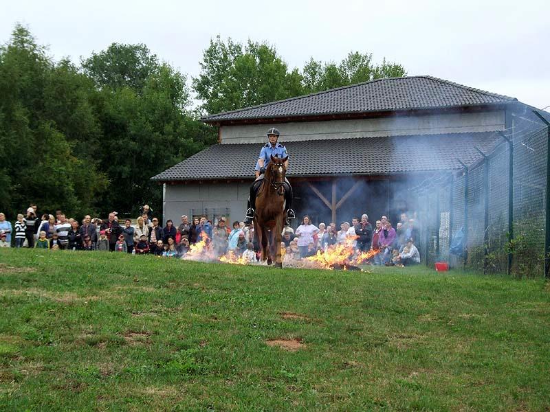 PMC-Sommerfest-2010_073.jpg