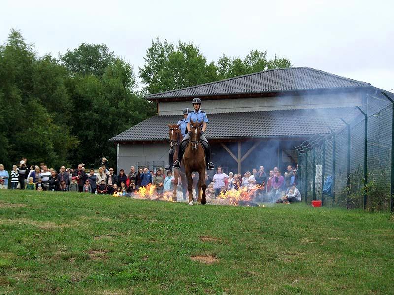 PMC-Sommerfest-2010_074.jpg