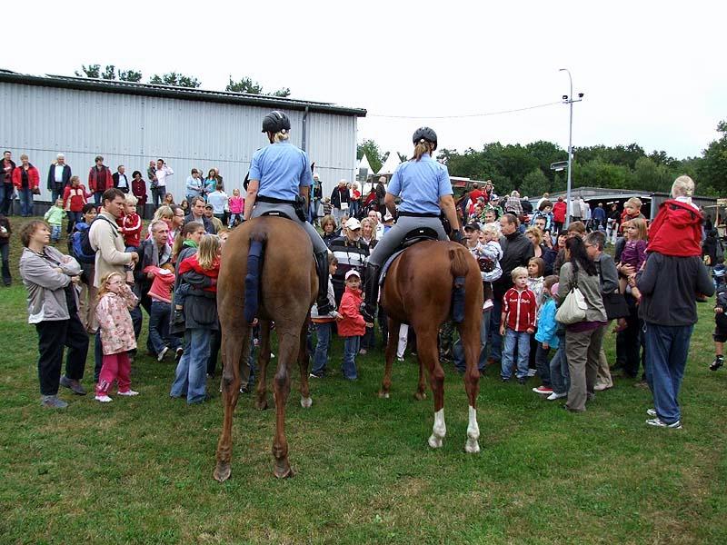 PMC-Sommerfest-2010_084.jpg