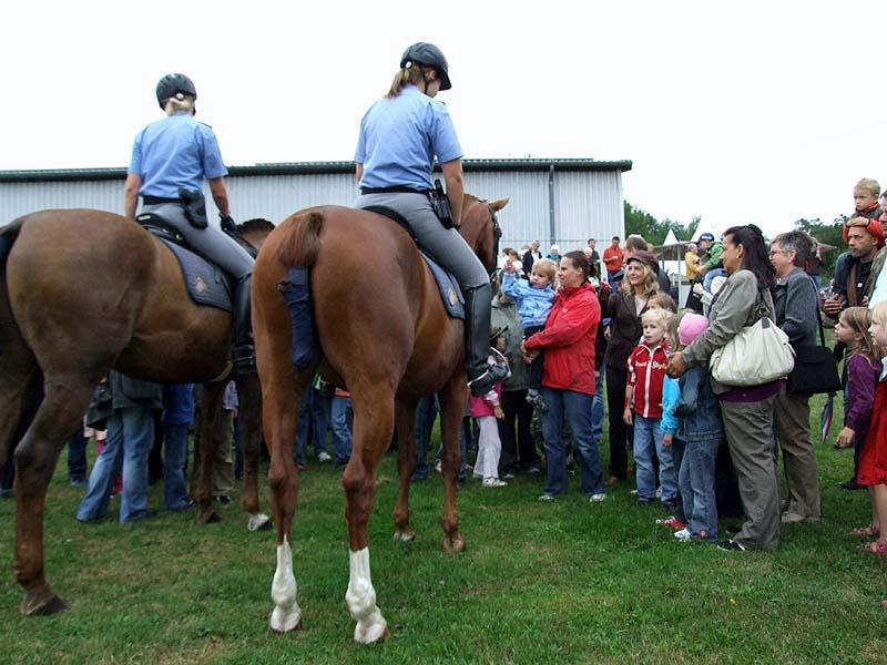 PMC-Sommerfest-2010_086.jpg
