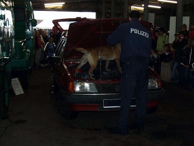 PMC-Sommerfest-2010_220.jpg
