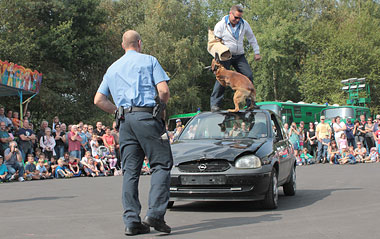 Die Hundeführer/-in der Polizeidirektion Marburg zeigten eine sehenswerte Vorführung - hier bei der Festnahme eines Täters auf dem Autodach