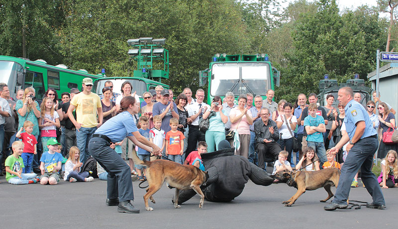 Zwei Polizeihunde mit Führer/-in stellen den vermeintlichen Täter, der Applaus der zahlreichen Besucher des Sommerfestes im Polizeioldtimer Museum war ihnen gewiss
