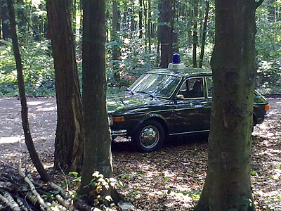 unser VW 412 im Waldgelnde am Httendorf