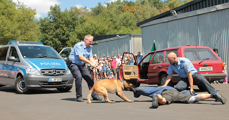 Die Hundestaffel der Polizei Marburg zeigte Sehenswertes
