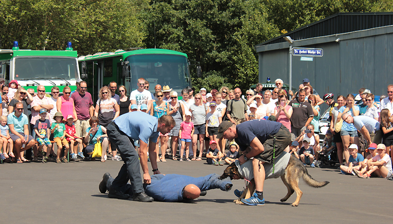 Die Hundestaffel der Polizei Marburg zeigte Sehenswertes