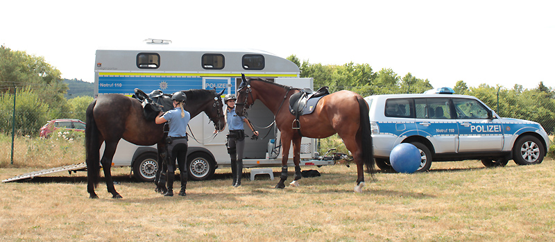 Die beiden Polizistinnen samt Pferde der Polizeireiterstaffel Hessen sind eingetroffen im Polizeioldtimer Museum Marburg
